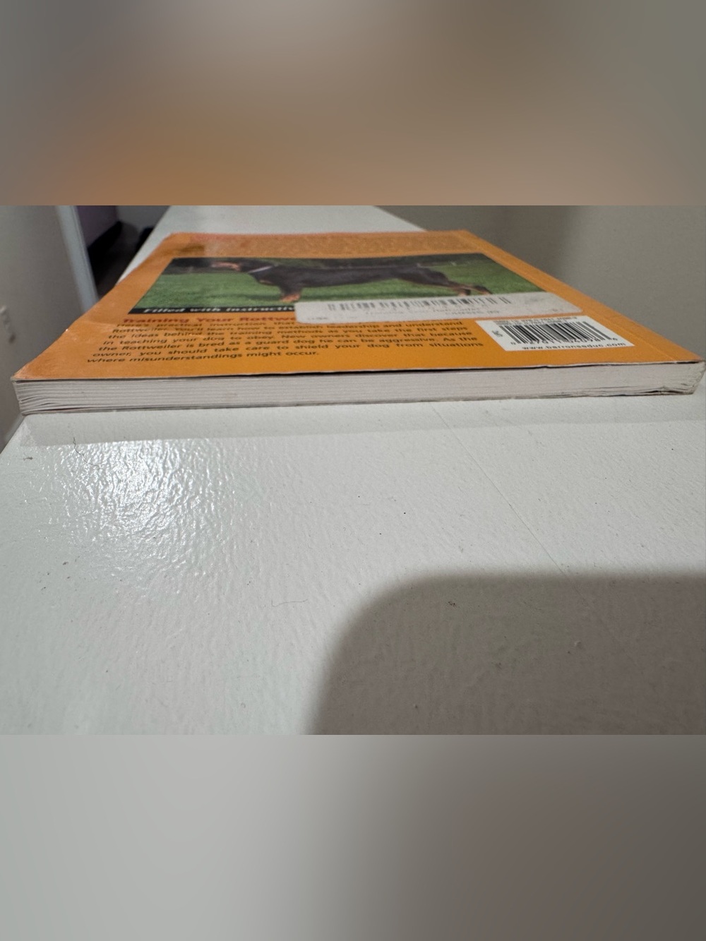 Training Your Rottweiler - Picture 3 of 4